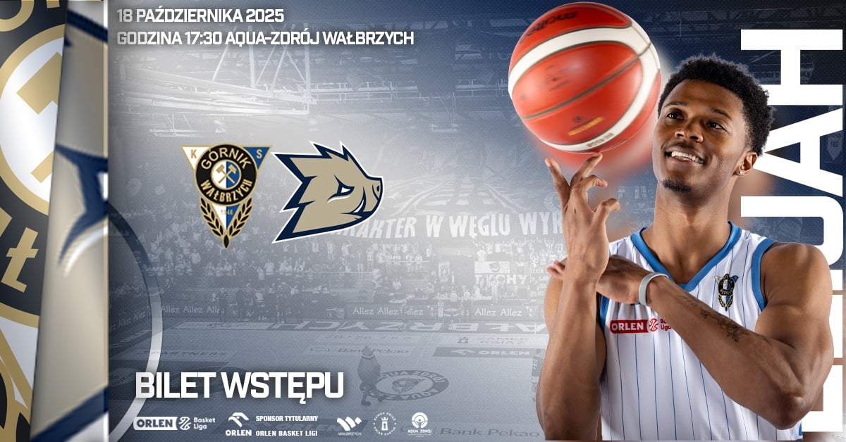 Górnik Zamek Książ Wałbrzych vs Dziki Warszawa